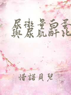 尿微量白蛋白高与尿肌酐比值