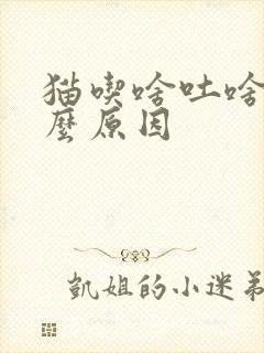 猫吃啥吐啥是什么原因