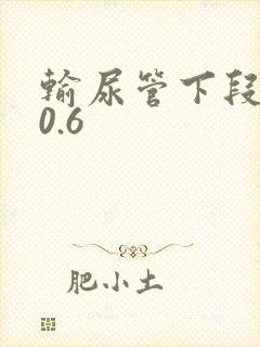 输尿管下段结石0.6