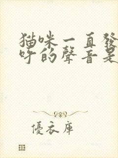 猫咪一直发出呼呼的声音是怎么回事