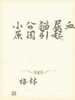 小公猫尿血什么原因引起