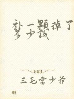 补一颗掉了的牙多少钱