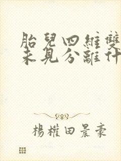 胎儿四维双肾盂未见分离什么意思