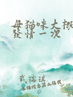 母猫咪大概多久发情一次