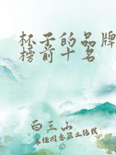 杯子的品牌排行榜前十名