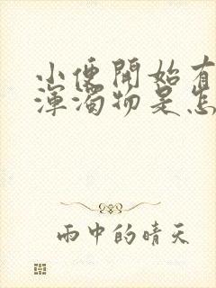 小便开始有白色浑浊物是怎么回事