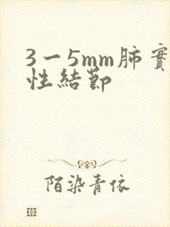 3一5mm肺实性结节