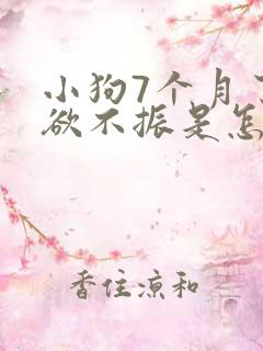 小狗7个月了食欲不振是怎么回事