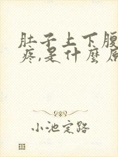 肚子上下腹部都疼,是什么原因