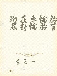 狗在车轮胎上撒尿对轮胎有影响吗