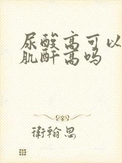 尿酸高可以引发肌酐高吗