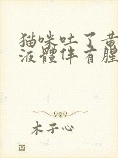 猫咪吐了黄黄的液体伴有腥臭