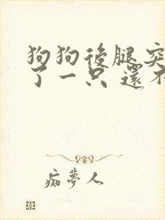 狗狗后腿突然瘸了一只 还不疼