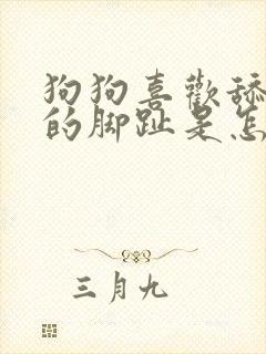 狗狗喜欢舔主人的脚趾是怎么回事