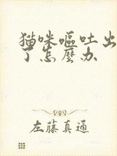 猫咪呕吐出毛球了怎么办