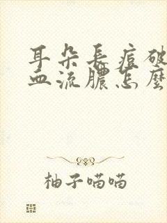 耳朵长痘破了出血流脓怎么办