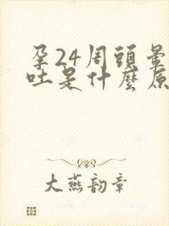 孕24周头晕想吐是什么原因