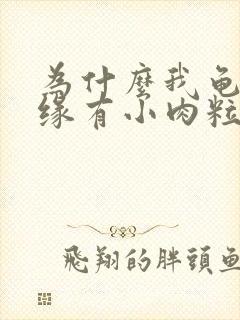 为什么我龟头边缘有小肉粒