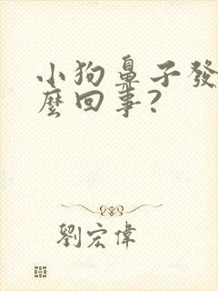 小狗鼻子发干怎么回事?