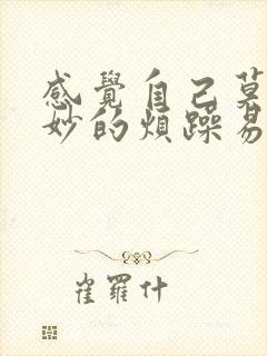 感觉自己莫名其妙的烦躁易怒情绪不稳定