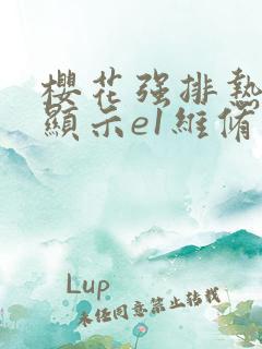 樱花强排热水器显示e1维修