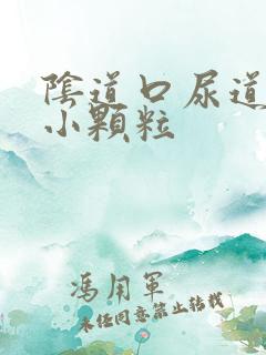 阴道口尿道口长小颗粒