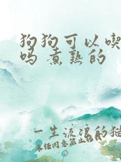 狗狗可以吃鸭肉吗 煮熟的