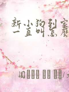 新小狗到家晚上一直叫怎么办