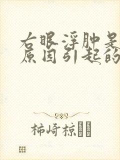 右眼浮肿是什么原因引起的