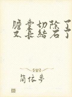 胆囊切除了胆管又长结石了怎么办