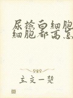 尿检白细胞和红细胞都高怎么回事