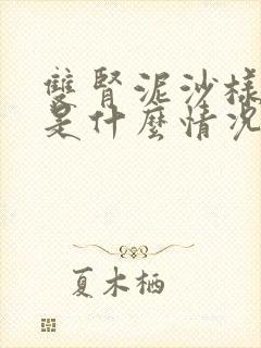 双肾泥沙样结石是什么情况