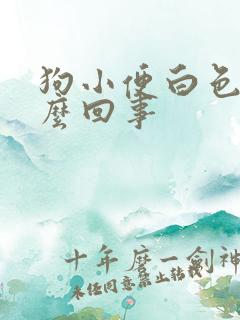 狗小便白色是怎么回事