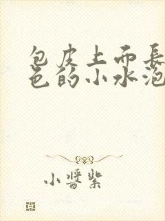 包皮上面长了白色的小水泡