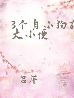 3个月小狗训练大小便