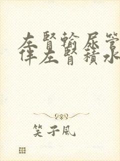 左肾输尿管结石伴左肾积水