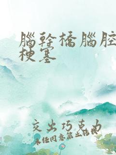 脑干桥脑腔隙性梗塞