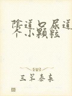 阴道口尿道口长个小颗粒