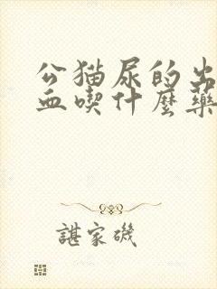 公猫尿的出来尿血吃什么药最好呢