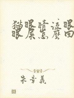 猫眼睛流眼泪有眼屎怎么回事