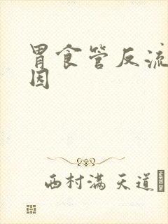 胃食管反流的原因