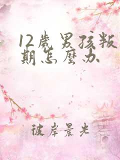 12岁男孩叛逆期怎么办