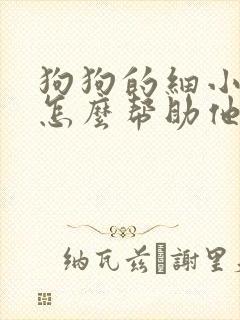 狗狗的细小应该怎么帮助他