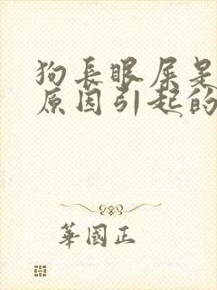 狗长眼屎是什么原因引起的