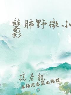 双肺野微小结节影