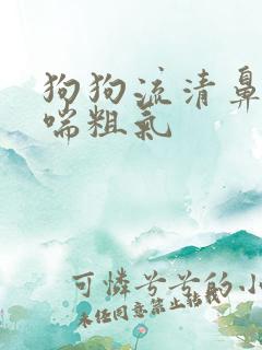 狗狗流清鼻涕还喘粗气