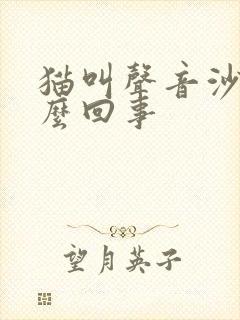 猫叫声音沙哑怎么回事