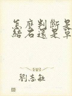 怎么判断是尿酸结石还是草酸钙结石