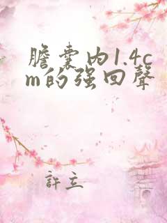 胆囊内1.4cm的强回声