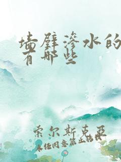 墙壁渗水的原因有哪些